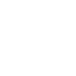 Icon - Garant